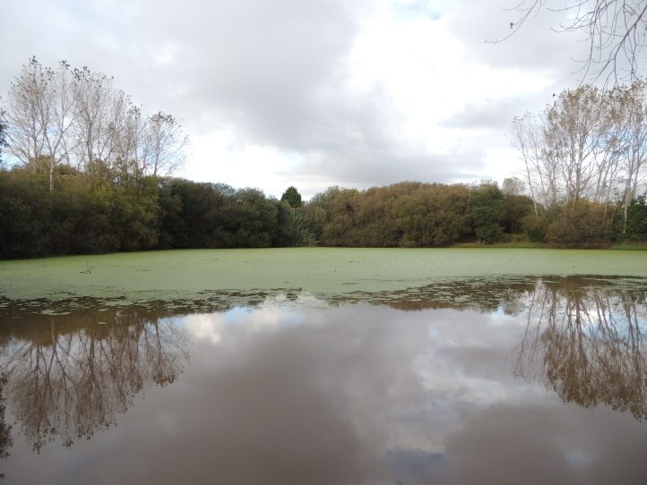 Lagoa da Congorza